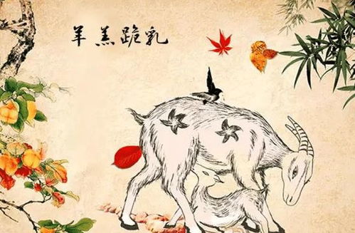 那就先从五行属水的生肖鼠和生肖猪启动说起吧