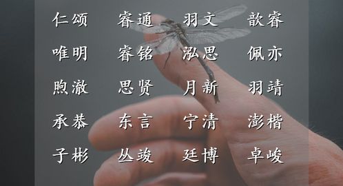 “竞”字的含义与五行属性