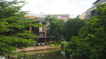 2. 虞河运动公园：运动狂人的天堂， 社恐的聚集地