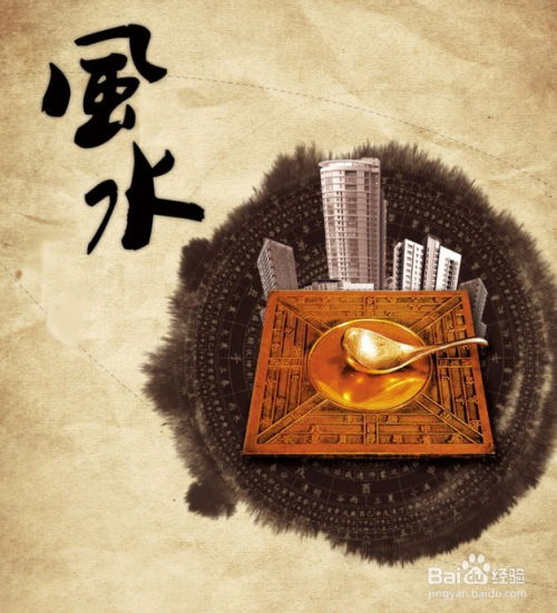 开场：午后阳光穿过窗棂，洒在落地布上，我正对着崭新房的平面图愁眉苦脸。