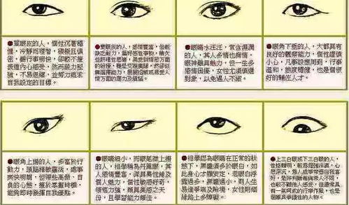 三、 2026年财运指南（天气与黄历）