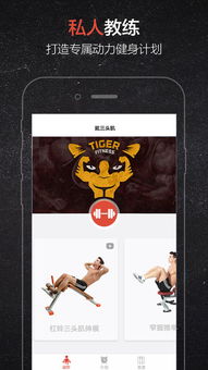 TIGER : 勇往直前