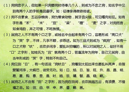 第三类：坚韧不拔
