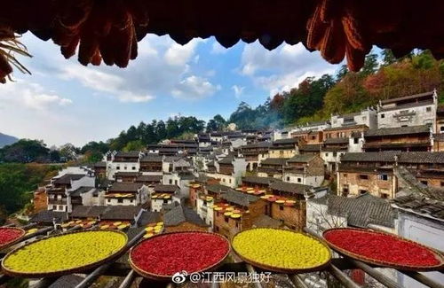 5. 跟团游，打包价更实惠