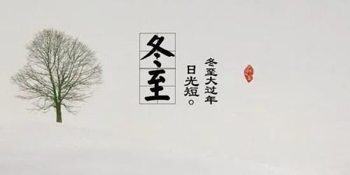 炉火采用