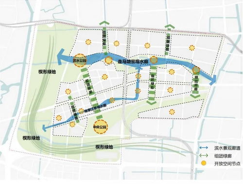 交通网络：生气旺盛