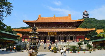 东林寺门票价格查询，看完我哭了