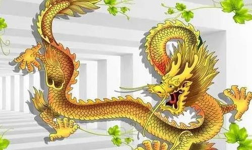 属马人：活力四射