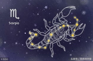财运的翻盘