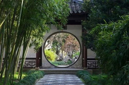 景观设计与中庭奇观
