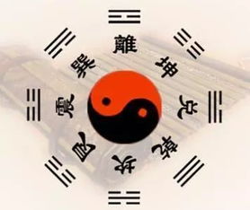生肖星座与茶馆命名的巧妙融合
