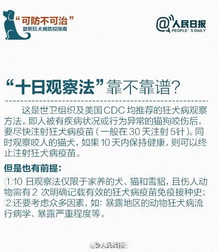 2026年今后天气与风水提议