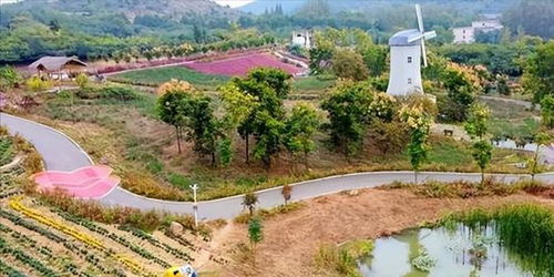 第三站：荆州较长江较大桥——这就是所谓的“较大气”吧？
