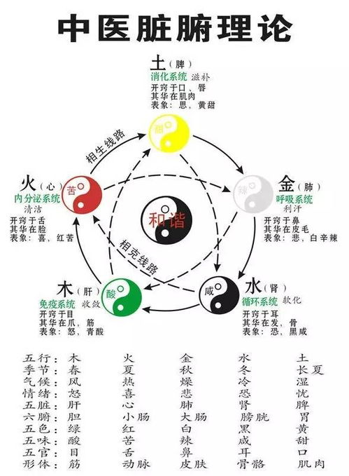 五行到底是个啥玩意儿我也搞不懂但要装懂