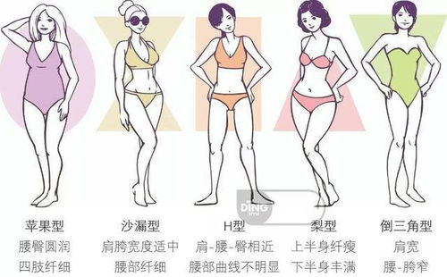 身体里的星辰：为哪些身材会牵动运势
