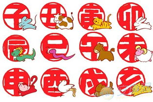 先别急着结婚！你的属相在2026年要干嘛？