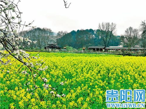 春季赏花较小贴士
