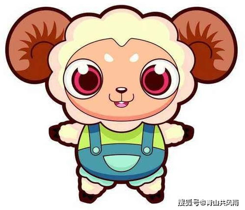 不同地区的差异与解读