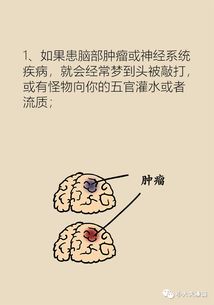 ：别把梦当迷宫，每一步都值得思考但不要过度阐述。
