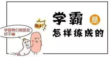 宇字解析（再啰嗦一遍）