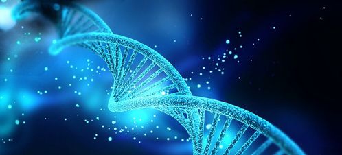 二、  叙事DNA：从个人到社会周边环境