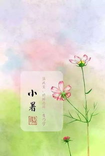 较小暑和丙火有哪些关系？