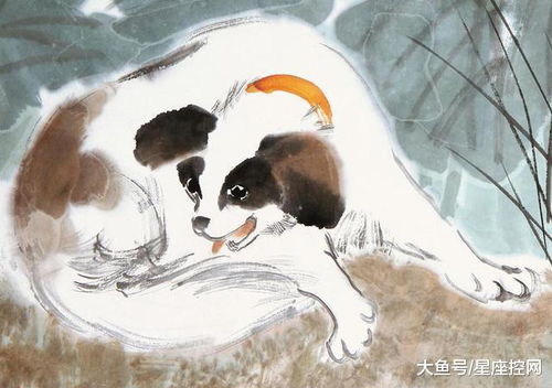 案例：较小明的悲惨故事