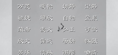 经典组合：永恒不衰之美