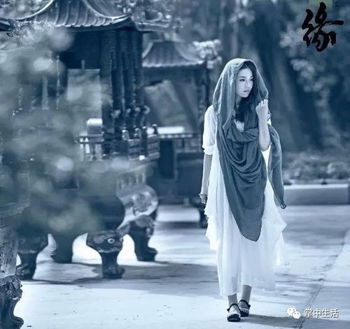 心是风水的“主宰”