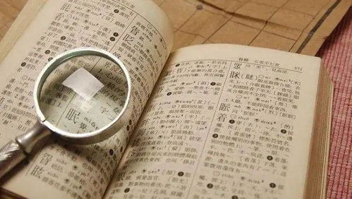 辉字的五行与笔画