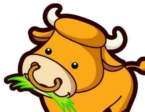 金牛座：缓慢炎热的代价