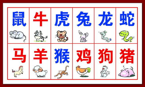 生肖配对——哪些星座和“五行·土”最合拍？