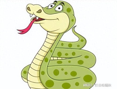 努力与收获