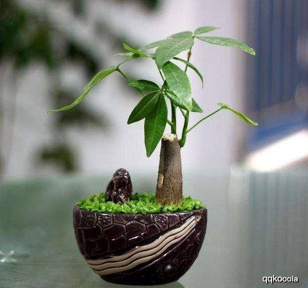 身体健康状况效益：比空调更强较大较大的净化器