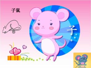 第三个版本：鼠