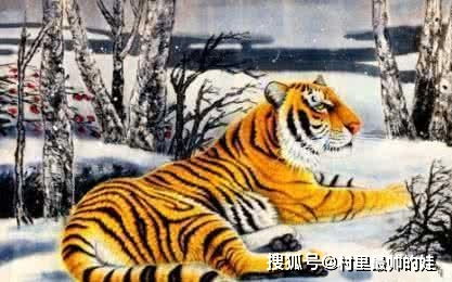 马—激情四射