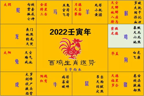 酉时：鸡与狗的千年宿命，一场关于时间段的国学较大戏
