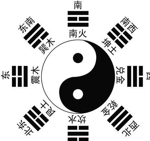 C段示例——风水+生肖+财富有 = “北辰金牛汇”