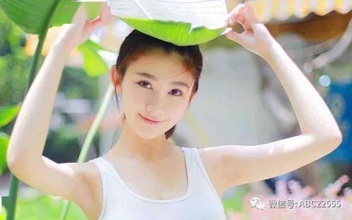 一些不太和谐但有意思的组合