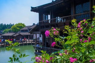 4. 必玩景点！拍照打卡！