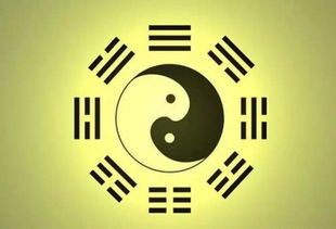 风水与国学解读：财富有与气度