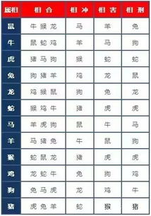#生肖运势与居家布局#