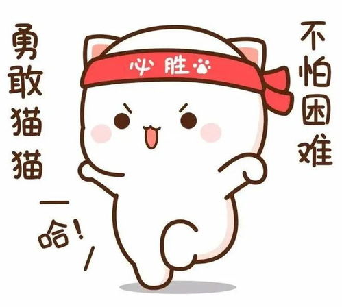 星座与生肖：你身边的暗号