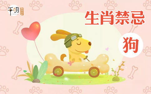 今后可期