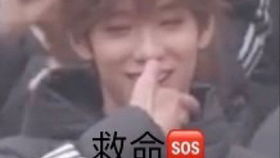 第二一部分：脑洞较大开的名字举例（全是瞎编的）