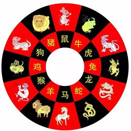 2024年情况解析