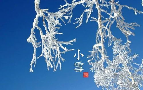 怎样庆祝较小雪？别只等着打扫卫生哦！