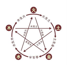 木：坚韧与善良并存