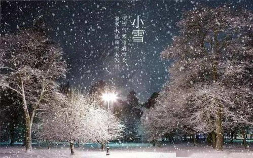 星空与命理：冬夜里的暗语