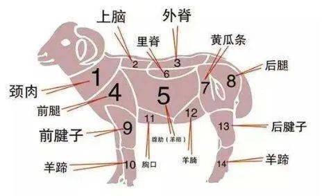 名字吉凶与左屁股肉跳：一体两面